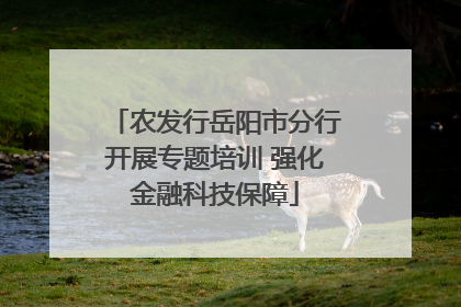 农发行岳阳市分行开展专题培训 强化金融科技保障