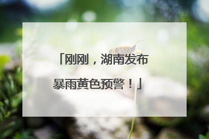 刚刚，湖南发布暴雨黄色预警！