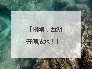刚刚，西湖开闸放水！