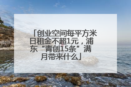 创业空间每平方米日租金不超1元，浦东“青创15条”满月带来什么