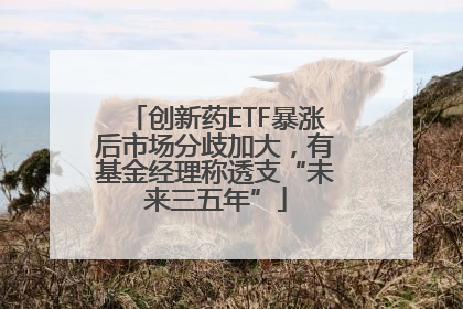 创新药ETF暴涨后市场分歧加大，有基金经理称透支“未来三五年”