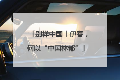 别样中国丨伊春，何以“中国林都”