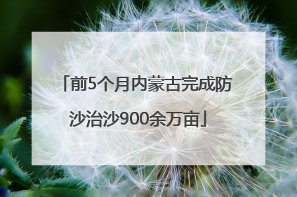 前5个月内蒙古完成防沙治沙900余万亩