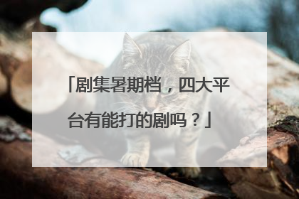 剧集暑期档，四大平台有能打的剧吗？