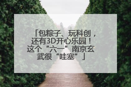 包粽子、玩科创，还有3D开心乐园！这个“六一”南京玄武很“哇塞”