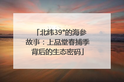 北纬39°的海参故事：上品堂春捕季背后的生态密码