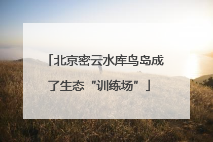 北京密云水库鸟岛成了生态“训练场”