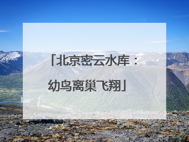 北京密云水库：幼鸟离巢飞翔