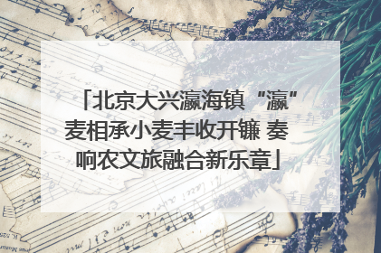 北京大兴瀛海镇“瀛”麦相承小麦丰收开镰 奏响农文旅融合新乐章