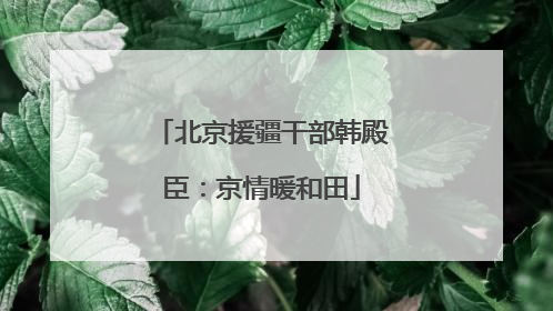 北京援疆干部韩殿臣：京情暖和田