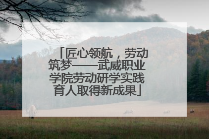 匠心领航，劳动筑梦——武威职业学院劳动研学实践育人取得新成果