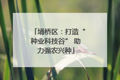 埇桥区：打造“种业科技谷” 助力强农兴种