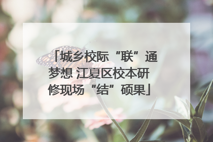 城乡校际“联”通梦想 江夏区校本研修现场“结”硕果