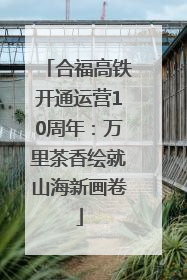 合福高铁开通运营10周年：万里茶香绘就山海新画卷