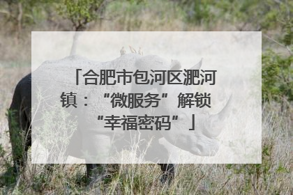合肥市包河区淝河镇：“微服务”解锁“幸福密码”