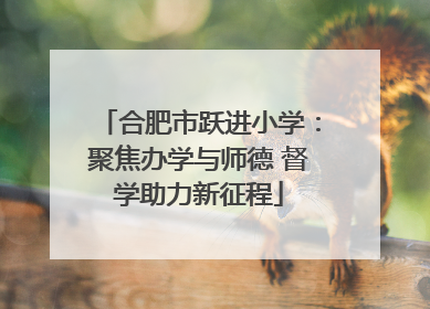 合肥市跃进小学：聚焦办学与师德 督学助力新征程