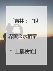 吉林：“世界黄金水稻带”上插秧忙