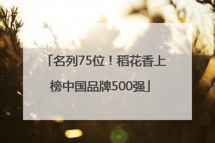 名列75位！稻花香上榜中国品牌500强