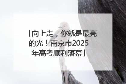 向上走，你就是最亮的光！南京市2025年高考顺利落幕