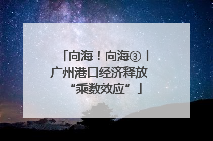 向海！向海③丨广州港口经济释放“乘数效应”
