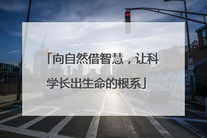 向自然借智慧，让科学长出生命的根系
