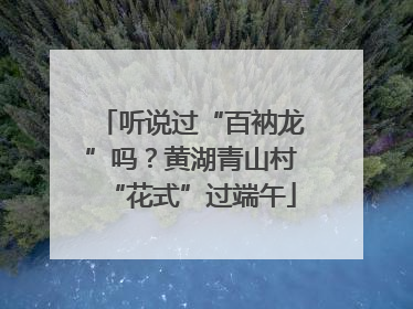 听说过“百衲龙”吗？黄湖青山村“花式”过端午