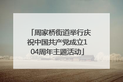 周家桥街道举行庆祝中国共产党成立104周年主题活动
