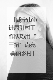咸宁市审计局驻村工作队巧用“三招”点亮美丽乡村