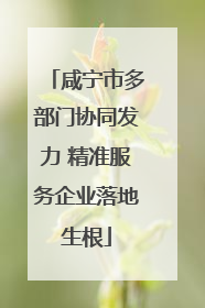 咸宁市多部门协同发力 精准服务企业落地生根