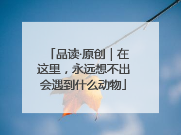 品读·原创｜在这里，永远想不出会遇到什么动物