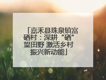 嘉禾县珠泉镇富硒村：深耕“硒”望田野 激活乡村振兴新动能