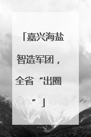 嘉兴海盐智造军团，全省“出圈”
