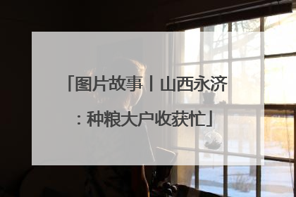 图片故事丨山西永济：种粮大户收获忙