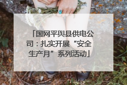 国网平舆县供电公司：扎实开展“安全生产月”系列活动