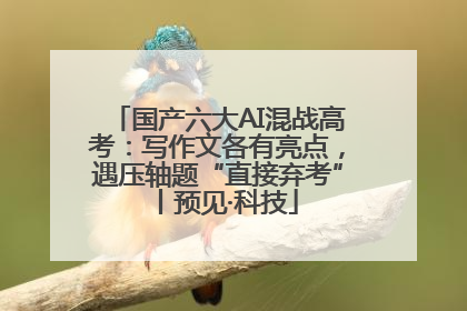 国产六大AI混战高考：写作文各有亮点，遇压轴题“直接弃考”丨预见·科技