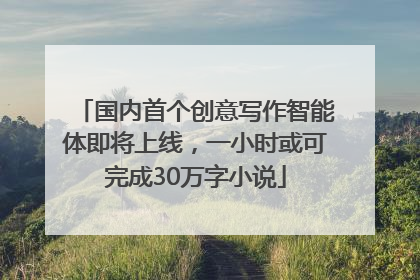 国内首个创意写作智能体即将上线，一小时或可完成30万字小说