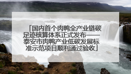 国内首个肉鸭全产业链碳足迹核算体系正式发布——泰安市肉鸭产业低碳发展标准示范项目顺利通过验收