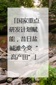 国家重点研发计划赋能，昔日盐碱滩今变“高产田”