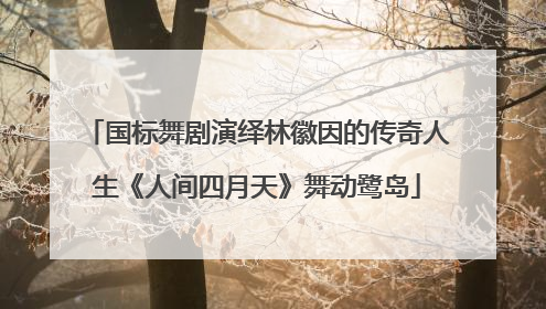 国标舞剧演绎林徽因的传奇人生《人间四月天》舞动鹭岛