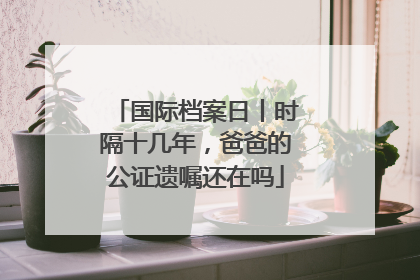 国际档案日丨时隔十几年，爸爸的公证遗嘱还在吗
