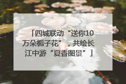 四城联动“送你10万朵栀子花”，共绘长江中游“夏香图景”