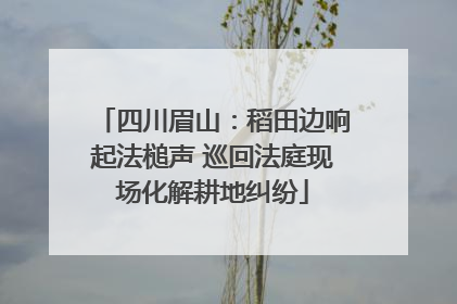 四川眉山：稻田边响起法槌声 巡回法庭现场化解耕地纠纷