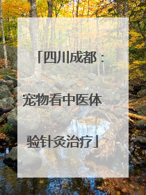 四川成都：宠物看中医体验针灸治疗