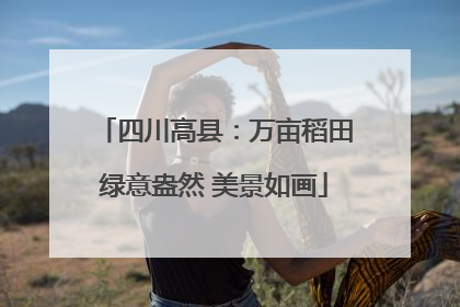 四川高县：万亩稻田绿意盎然 美景如画