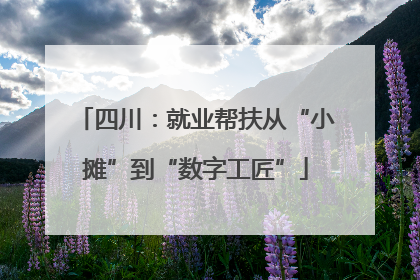 四川：就业帮扶从“小摊”到“数字工匠”
