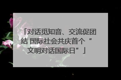 对话觅知音、交流促团结 国际社会共庆首个“文明对话国际日”