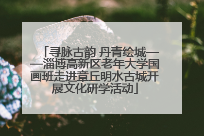 寻脉古韵 丹青绘城——淄博高新区老年大学国画班走进章丘明水古城开展文化研学活动