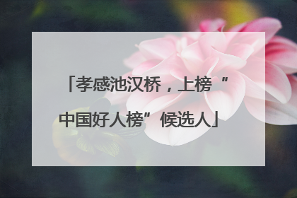 孝感池汉桥，上榜“中国好人榜”候选人