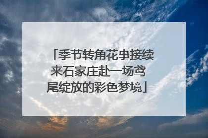 季节转角花事接续 来石家庄赴一场鸢尾绽放的彩色梦境