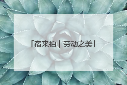 宿来拍｜劳动之美